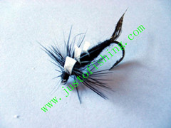 Flying insect f538