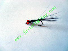 Flying insect f539