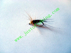 Flying insect f540