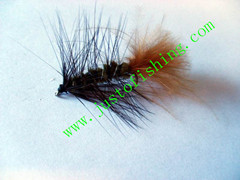 Flying insect f541