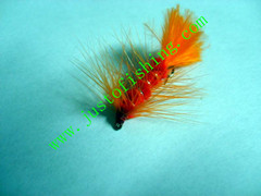 Flying insect f544