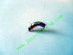 Flying insect f551