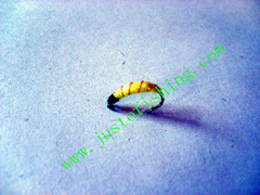 Flying insect f555