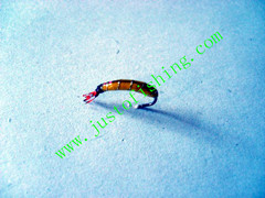 Flying insect f556