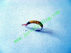 Flying insect f557