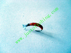 Flying insect f558