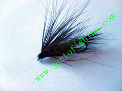 Flying insect f592