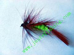 Flying insect f595