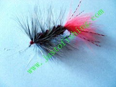 Flying insect f598