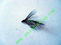 Flying insect f605