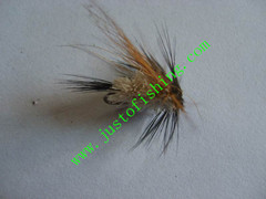 Flying insect f611