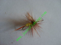 Flying insect f620