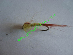 Flying insect f625