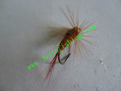 Flying insect f634