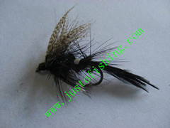 Flying insect f636