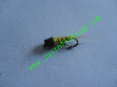 Flying insect f638