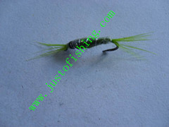 Flying insect f639