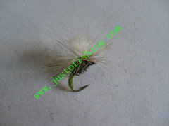 Flying insect f668