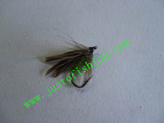 Flying insect f670