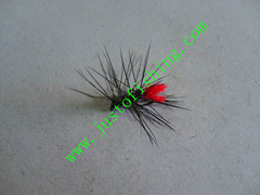 Flying insect f674