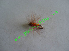 Flying insect f676