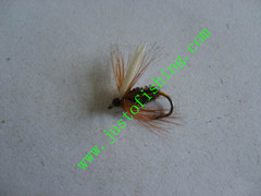 Flying insect f658