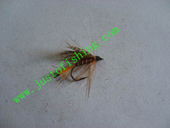 Flying insect f677