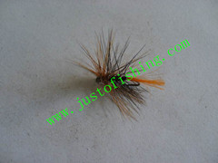 Flying insect f678