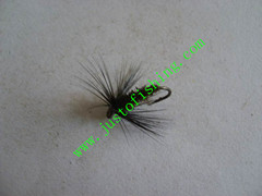 Flying insect f682