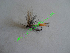 Flying insect f684
