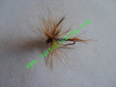 Flying insect f685
