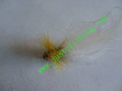 Flying insect f662