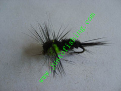 Flying insect f663