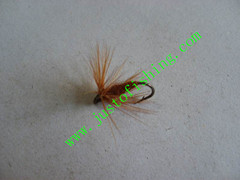 Flying insect f665