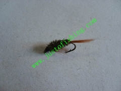 Flying insect f664