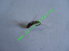 Flying insect f733