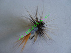 Flying insect f728