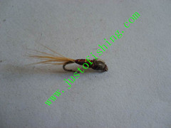 Flying insect f641