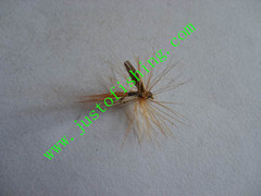 Flying insect f643
