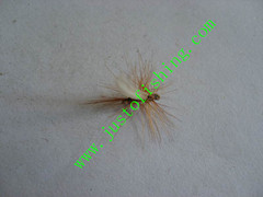 Flying insect f644