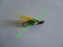 Flying insect f645