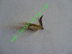 Flying insect f651