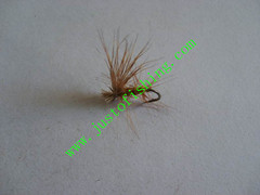 Flying insect f653