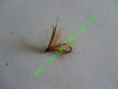 Flying insect f655