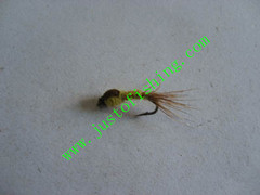 Flying insect f656