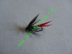 Flying insect f657