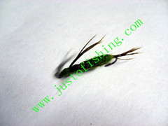 Flying insect f560