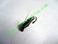 Flying insect f561