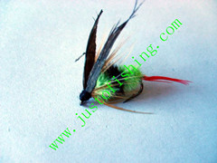 Flying insect f563
