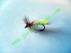 Flying insect f564